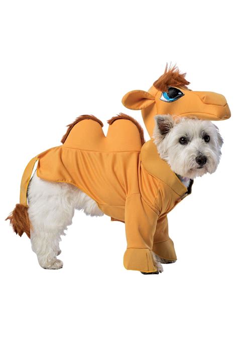 dog costume camel